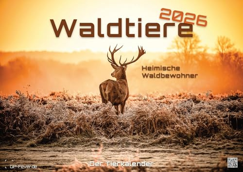 Skogsdjur – inhemska skogsinvånare – djurkalendern – 2025 – väggkalender DIN A2 (extra stor: ca 60 cm x 42 cm)
