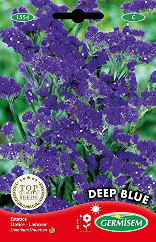 Germisem Deep Blue Semi di Statice 0.5 g