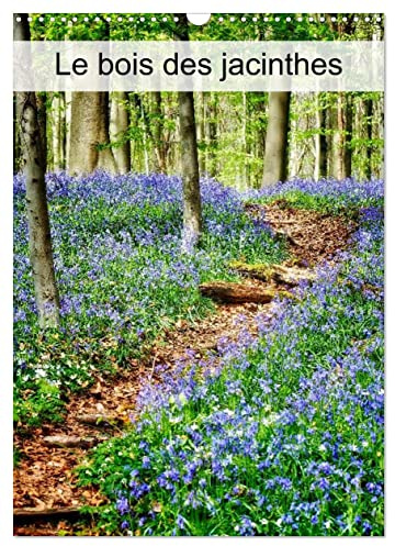 Le bois des Jacinthes (Calendrier mural 2023 DIN A3 vertical): Hallerbos, la forêt féerique (Calendrier mensuel, 14 Pages )