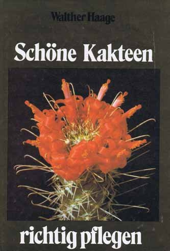 Schöne Kakteen richtig pflegen.