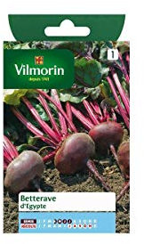 Vilmorin - Sachet graines Betterave d'Egypte