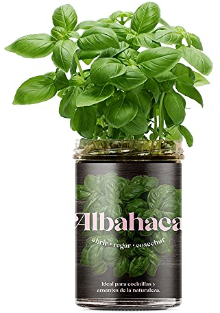 Huerto de Cocina Albahaca – Cultiva Albahaca Fresca en Casa | Kit Todo Incluido con Semillas, Tarro de Cultivo y Sustrato | Ideal para Cocina, Regalo Original y Huerto Interior | Resetea