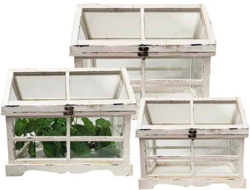 Set de 3 mini invernaderos interiores de madera blanca y cristal
