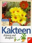 Kakteen drinnen und draußen