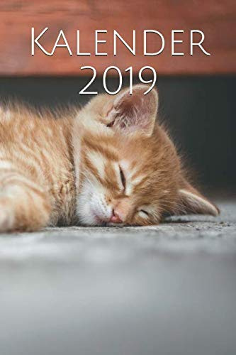 Kalender 2019