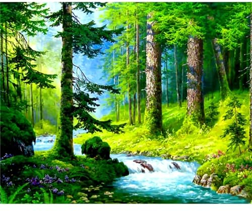 Yoonqun Malen Nach Zahlen Erwachsene,Grüner Wald DIY Ölgemälde auf Leinwand Erwachsene Kinder Ölgemälde Kit mit Pinseln und Acrylfarbe für Home Décor (mit Rahmen) 50x65cm
