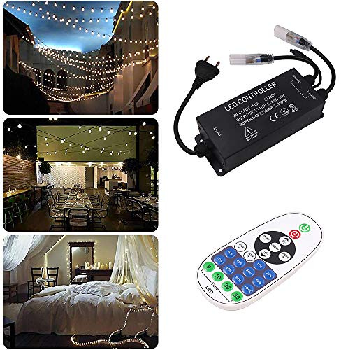 XUNATA 220V 2500W Transformador y Regulable Control Remoto de 23 Teclas para Tiras de LED Dimmable Luz de Un Solo Color (PCB 6mm)