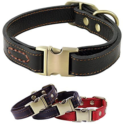 RC GearPro Weich Leder Hundehalsband für Welpen Kleine und mittlere Hunde - gepolstert Stark Ausbildung Hund Halsband Klassisch Haustier Halsbänder Echtes Leder mit Metallschnalle