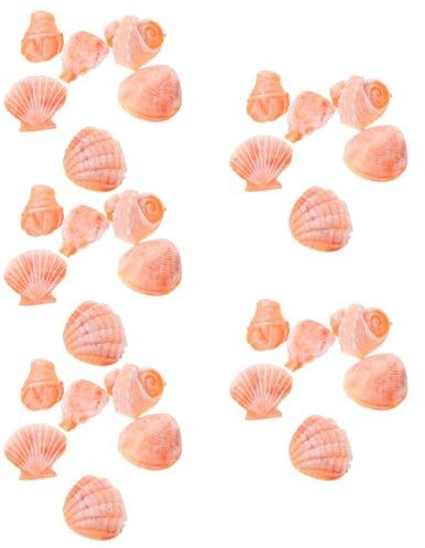 BUGUUYO 30 Pièces Miniatures de coquilles de conques Ornement de Coquille de conque décoration de thème de Plage de Mariage décoratives Orange
