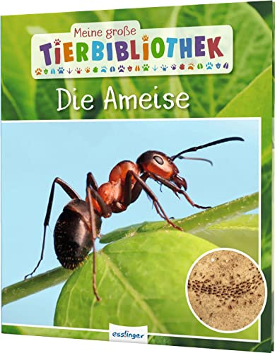 Meine große Tierbibliothek: Die Ameise: Sachbuch für Vorschule & Grundschule