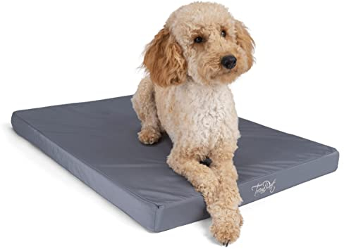 TrendPet VitaMedog Wasserabweisende orthopädische Matratze für Hunde (75x55cm)