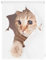 Lichtblick Klemmfix Verdunklungs-Rollo mit Motiv, ohne Bohren, Blickdicht, Seitenzugrollo, Made in Germany, Katze - Weiß Braun 80 x 150 cm (B x L)