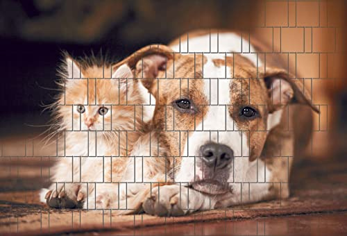 Hund & Katze - Bedruckter Sichtschutzstreifen für den Doppelstabmattenzaun | moderner Zaundruck | Garten-Deko | Sichtschutz Rolle | Vlies | Windschutz 2,5m x 1,8m