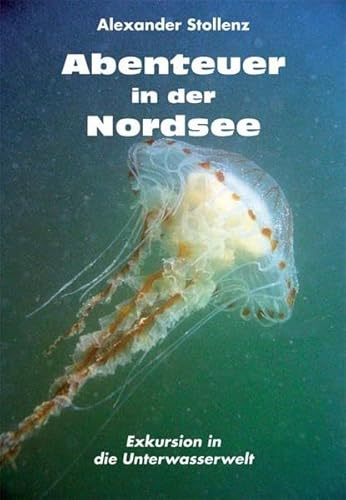 Abenteuer in der Nordsee: Exkursion in die Unterwasserwelt