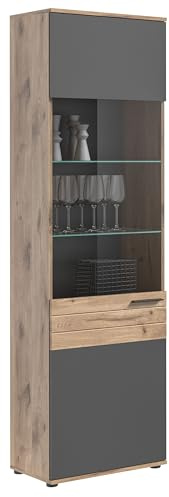 xonox.home - Vitrine Mason 57x200x37 cm in Nox Eiche und Basalt grau - Vitrine Glasvitrine Dekoschrank Glas-Kommode Stauraumschrank - Pflegeleichte Oberfläche