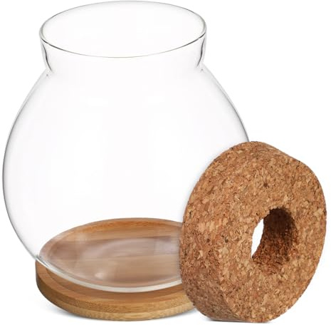 Angoily Petit Aquarium Verre Transparent avec Couvercle Bois Terrarium Hydroponique pour Poissons Betta et Plantes Bocal Décoratif Moyen pour Bureau et Maison avec Coussin Bambou