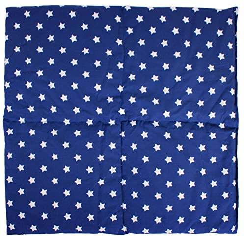 Bio Dinkelkissen 40x40cm 4-Kammer groß Sterne-blau - Wärmekissen Körnerkissen