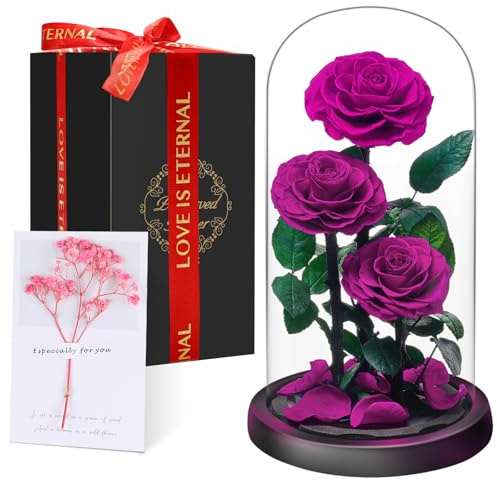 Rosa Stabilizzata Vera Regalo Donna in Cupola Vetro - Donna Regalo Compleanno, Rosa Eterna Idee Regalo Mamma Moglie Fidanzata Nonna, per San Valentino Anniversario Festa della Compleanno Natale