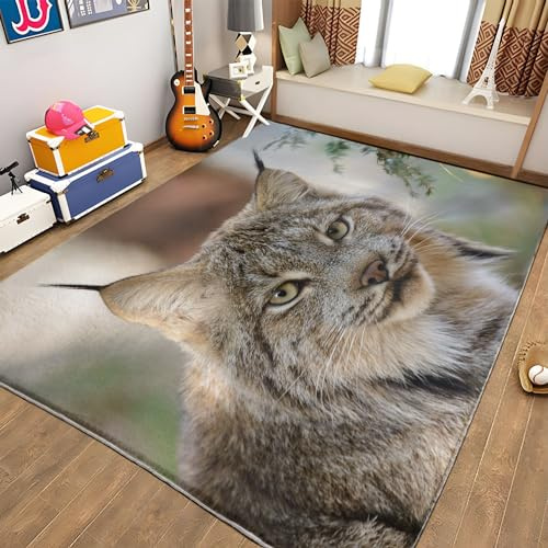 Teppiche Gegend Tier Luchs Teppich Wohnzimmer 60 x 90cm Waschbarer Teppich Kurzflor Teppich Anti-Rutsch Unterseite Heimdeko für Schlafzimmer