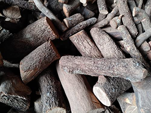 Leña de encina 14kg - para Barbacoa, Estufa, Chimenea, Cassette - Troncos Lisos Gruesos Ancho 10-25 cm - Seca y Perfectamente Cortada en Troncos 30-40 cm de Largo