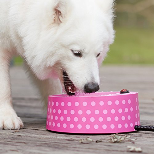 Petfactors Ciotola riscaldata per animali domestici, ciotola termica per acqua per animali domestici, per cani e gatti, con cavo resistente alla masticazione da 175 cm e interruttore on/off