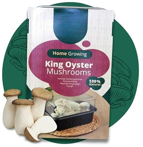 Carbeth Plants - Mushroom Growing Kit King Oyster - Grow Your Own Beginner Friendly Mushroom Educational Kit - Easy to Use Gardening Gift - Ready to Grow Tasty Produce for Cooking