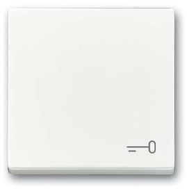 Busch-Jaeger Wippe mit Aufdruck 2520 TR-84