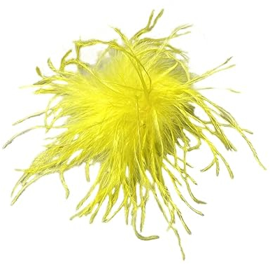 2 Stück Feder Haarspange Brosche für Frauen Mädchen,Vintage Flauschige Straußenfeder Ansteckblume Blumenclips Hut Haarnadel Federn Haarschmuck Damen Braut Hochzeit Festival Tanzen Party Dekoration