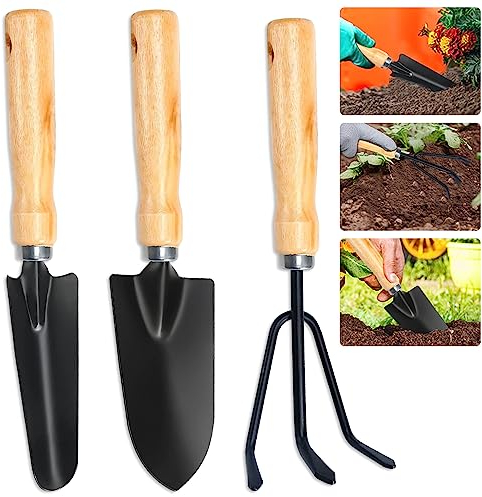 BNGXR Gartenwerkzeug Set, 3-teilig Hochleistungs-Gartenset mit Gartenkelle Frankfurter Schaufel und Handharke, Mini Pflanze Gartengeräte Holzgriff für Pflanzen von Blumen und Gras