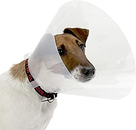 Croci Collare Elisabettiano per cani taglia XXL, Collare Elisabetta a cono per la protezione e cura di cani e gatti, previene graffi, morsi e leccate, 30 cm