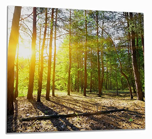 Wallario Herdabdeckplatte/Spritzschutz aus Glas, 1-teilig, 60x52cm mit 8mm hohen Füßen, für Ceran- und Induktionsherde, Sonnenstrahlen tief hinter dem Wald