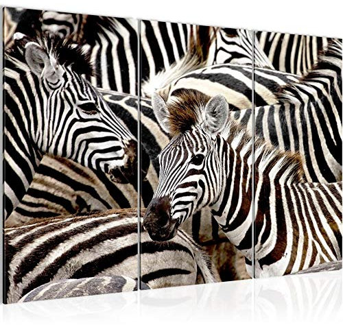 Runa Art Wandbilder Afrika Zebra Bild XXL Wohnzimmer Schlafzimmer Schwarz Weiss Tiere 120 x 80 cm 3 Teilig 000831a