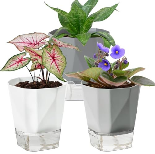 Samhe 3 Pack Self Watering Planter Pots, 6.5 Inch African Violet Pots for Indoor Outdoor Windowsill Gardens, Plant Pot with Wick Rope and Reservoir