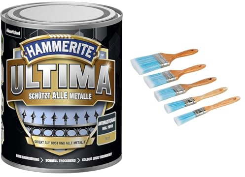 HAMMERITE metallschutzlack ultima matt anthrazitgrau ral7016 750ml & Silverline - Malerpinsel mit synthetischen Borsten, 5-tlg. Satz 19, 25, 40, 50 und 75 mm (282408)
