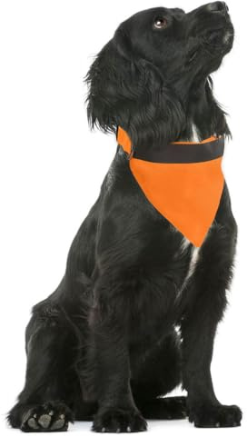 Reflektierendes Hundehalstuch, Verstellbare Dreiecks Hundebandana, Gut Sichtbare Haustierschals für Nachtcamping, Jagdreisen