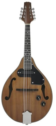 Mandolin Instrument Professional Musical Instrument Mandolin For Beginners Eight-string Electric Mandolin Performance Instrument(E)