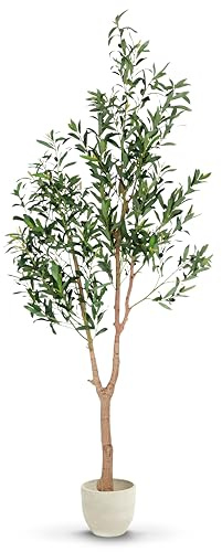 MAIA SHOP Olivo artificiale Moon 180 cm Minimal, pianta finta da interno con tronco naturale, albero decorativo realistico per casa ufficio hotel