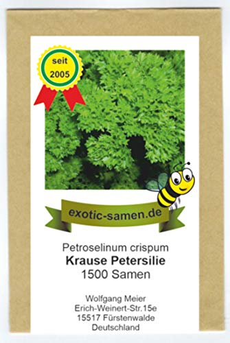 Petersilie kraus - Bienenweide - Gärtnerstolz - Petroselinum - 1500 Samen