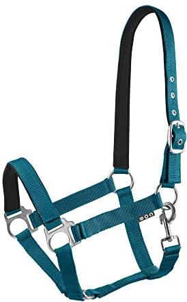 Start Halfter Pferd verstellbar – Nylon Halfter mit Polsterung – Größen: Pony, Cob, Warmblut – Komfortabel & Robust – Pferdehalfter für Stall & Weide (Petrolblau, Cob)