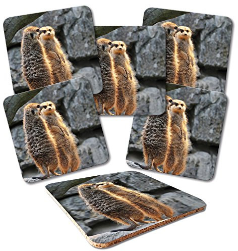 ADDIES Glas-Untersetzer 6-TLG.Set Bedruckt Motiv ERDMÄNNCHEN-01 in hochwertiger Klarsicht-Geschenkbox und Korkrückseite, Tier-Motiv