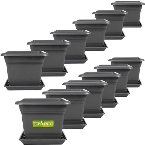 2friends Sustania Pflanzkübel Eckig 28x28 Anthrazit 12er Set - Robuster Blumentopf Groß, Übertopf Ideal für Tomatenpflanzen, Eckige Pflanztöpfe Kunststoff für Garten & Balkon