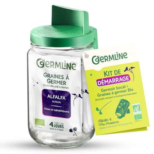 Germline BOC1 Germoir en verre, Vert