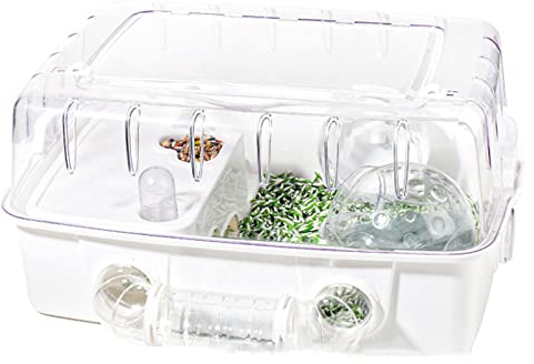 Große Hamsterkäfige, Meerschweinchenkäfige, Kleintierlebensraum für Teddybärhamster, Rennmäuse, Vollglas-Hamsterkäfig, 360° klare Sicht für Zwerghamstermäuse, Rennmäuse, Igel oder Reptilien (Farbe: G
