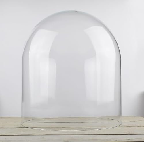 EMH Campana grande in vetro per esposizione a campana, 40 x 35,5 cm