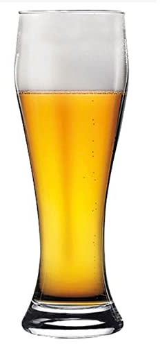 NOVASTYL - Lot de 6 chopes brasseur en verre - 1604193