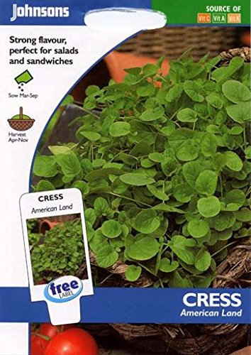 Johnsons Seeds - Pictorial Pack - Vegetable - Cress American Land - 1000 Seeds