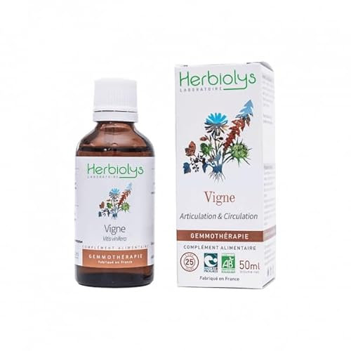 Bourgeons de Vigne Bio - 50 ml