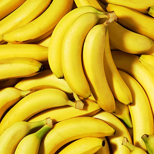 banano - raro giardino balcone resistenti in vaso 400semi