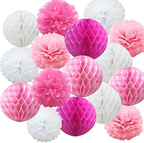 Time to Sparkle 16 Pack Mix Tissue Paper Pompoms Honeycomb Balls Pom Poms Table Garland Wedding Party Decoration (Balls-Pink Shade)
