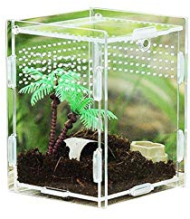Reptilienzuchtbox Acryl Reptilienbox Transparente Fütterungsbox Reptilienzuchtbecken Terrarium für Spinnen Skorpione Gehörnte Frösche Käfer Faunarium